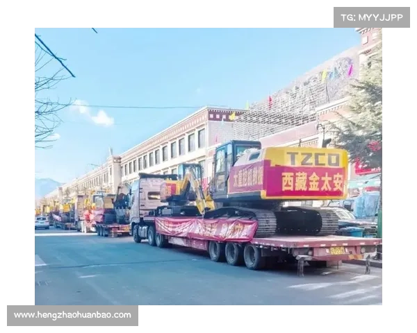 驰援西藏公益基金会捐赠100万元助力灾后重建与救援行动